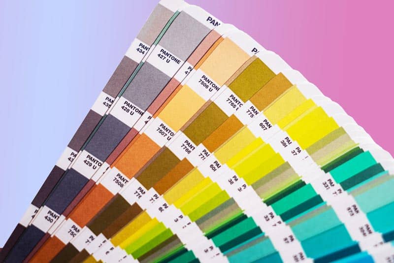 Choosing the Perfect Brand Colors